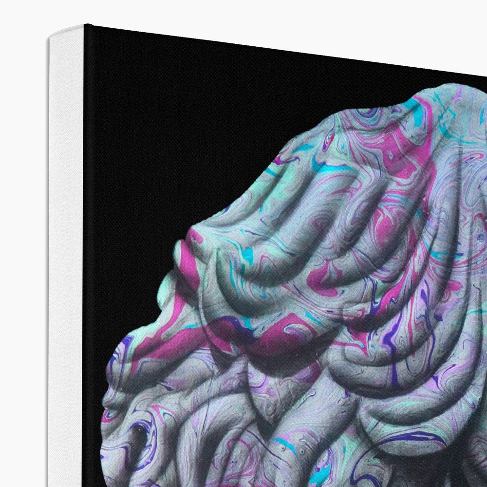 Apricus Canvas